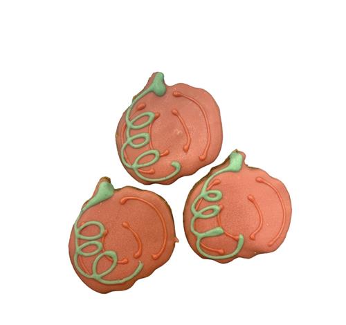 Mini Pumpkins - Tray of 16 *